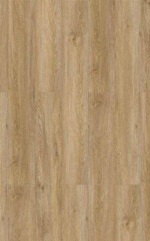SPC ламинат EvoFloor Oak Borneo S006-2